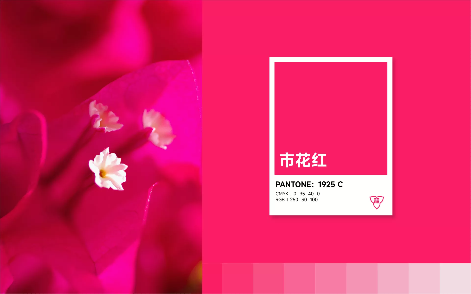 深圳手信-市花红
